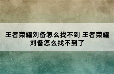 王者荣耀刘备怎么找不到 王者荣耀刘备怎么找不到了